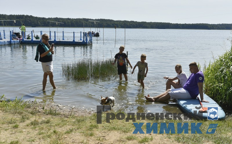 567676867867345 (2).jpg